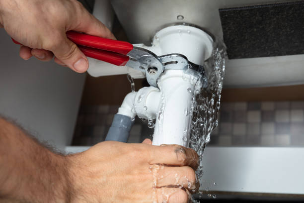 Best Flood damage cleanup  in Bryn Mawr, PA
