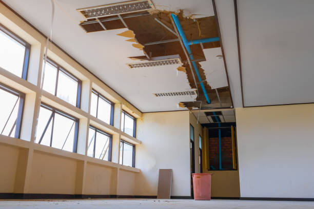 Best 24/7 water damage repair  in Bryn Mawr, PA