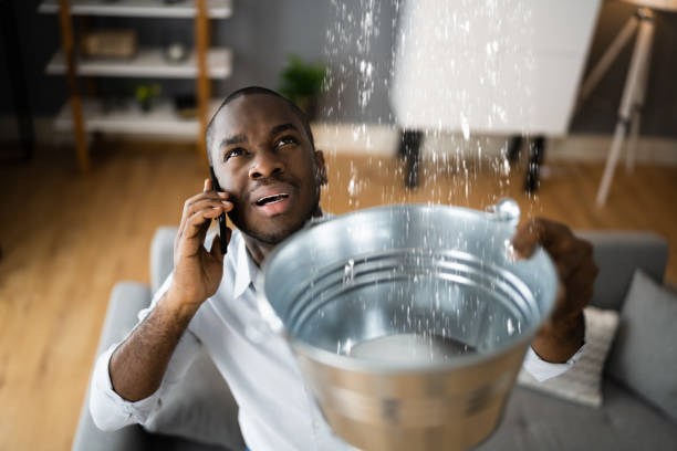 Best Water damage restoration specialists  in Bryn Mawr, PA