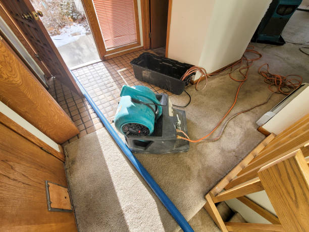 Best Commercial water damage restoration  in Bryn Mawr, PA