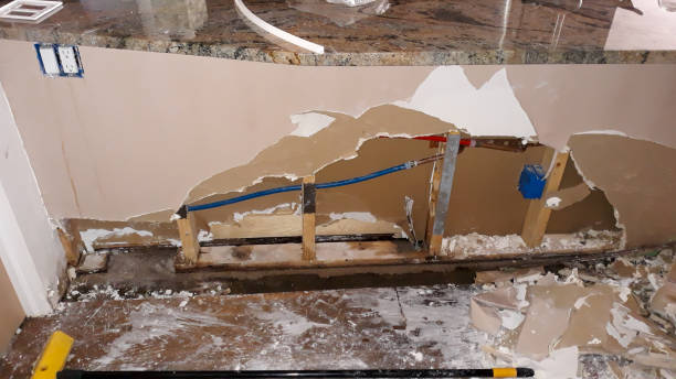 Best Residential water damage restoration  in Bryn Mawr, PA