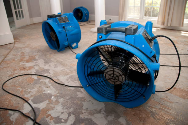 Best Flooded house restoration  in Bryn Mawr, PA