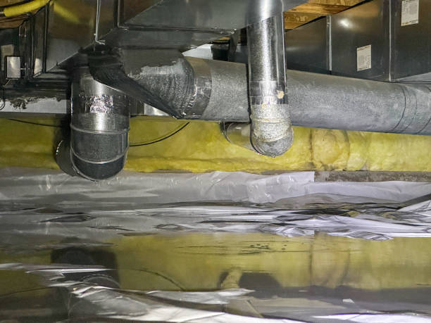 Best Carpet water damage restoration  in Bryn Mawr, PA