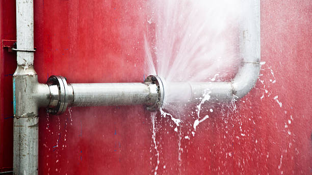 Best Sewage cleanup and water damage restoration  in Bryn Mawr, PA